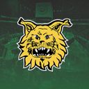 Ilves aitio 21